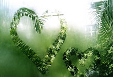 揭阳天涯社区论坛：这里的日常小故事最打动人