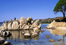 探索深圳天涯社区